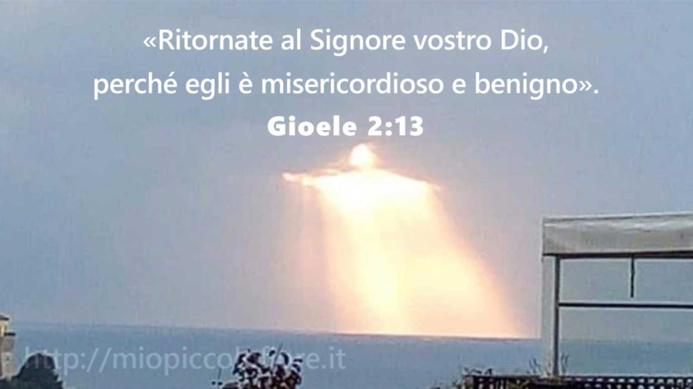 Messaggio del Cielo di Mio Piccolo Fiore del 1999-07-13 Ritornate a Me
