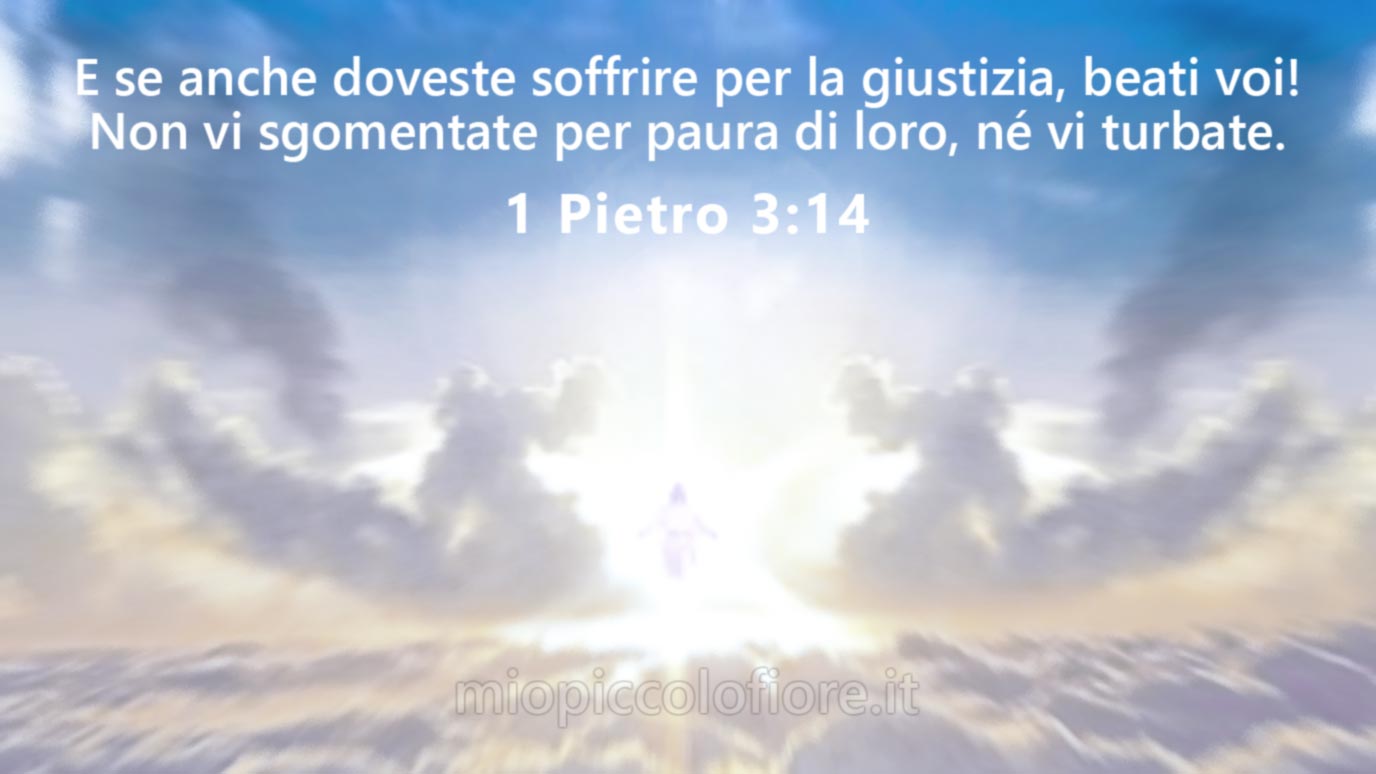 Messaggio del Cielo di Mio Piccolo Fiore del 2007-02-19 Amore Universale