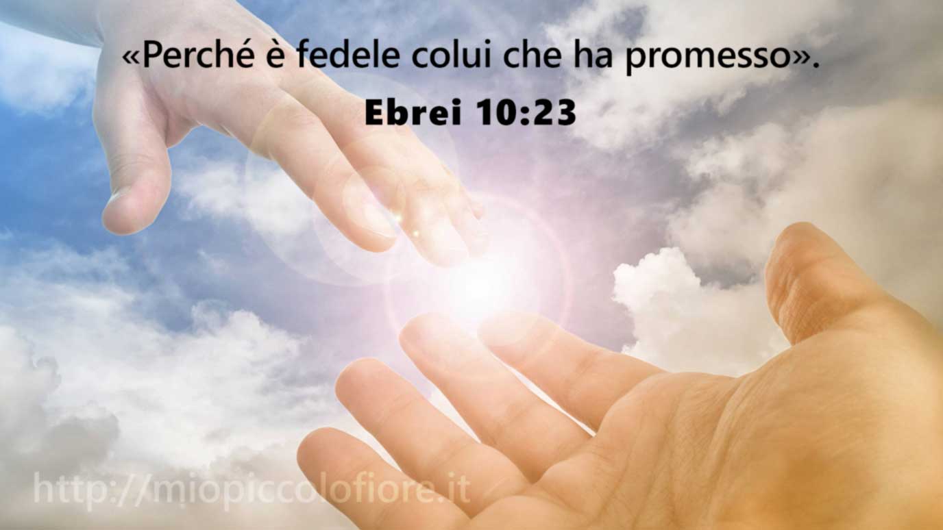2010-01-18 Padre Fedele