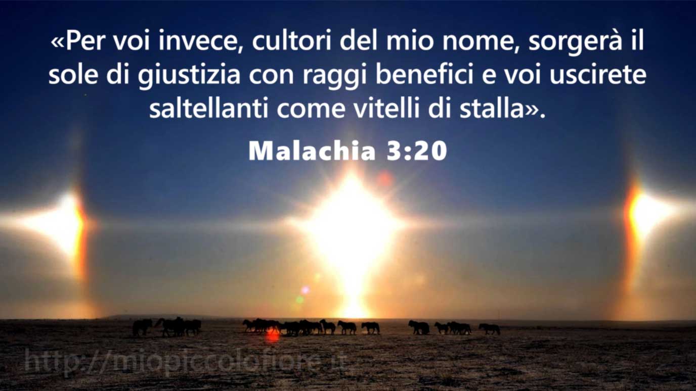 2010-01-23 Tre Soli