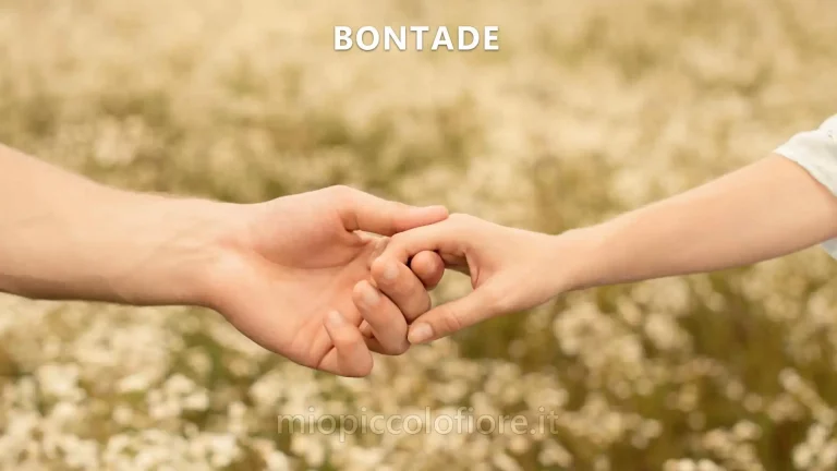 Bontade