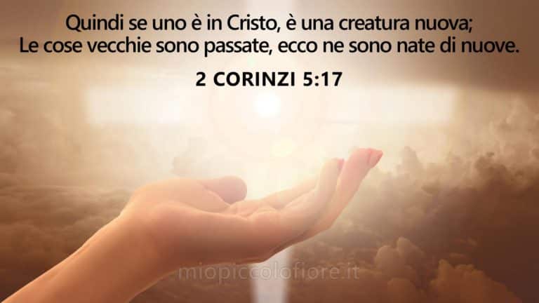 2022-10-18 Creatura nuova