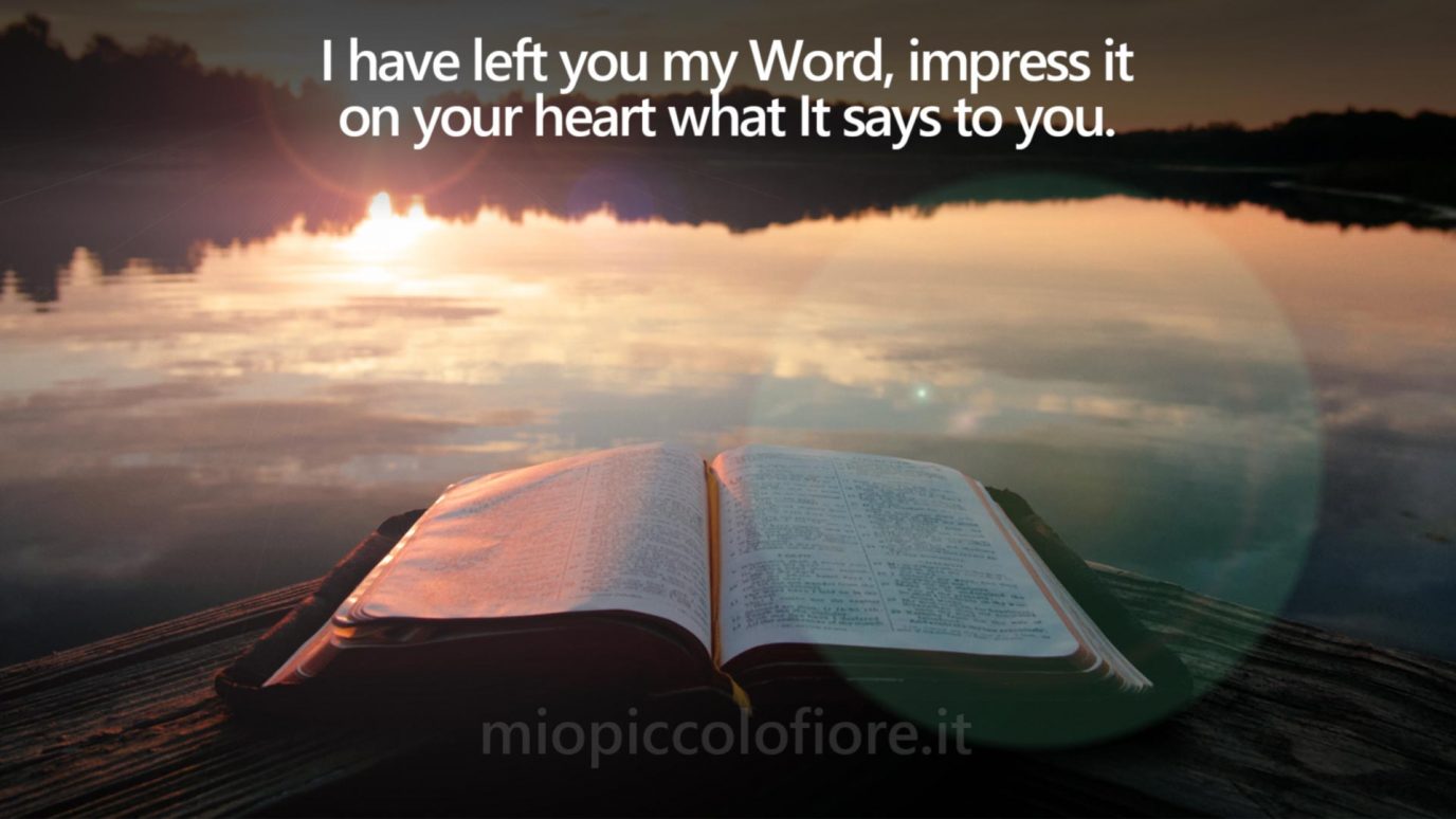 Heaven's Messages of MY TINY FLOWER 2023-01-26 My Word