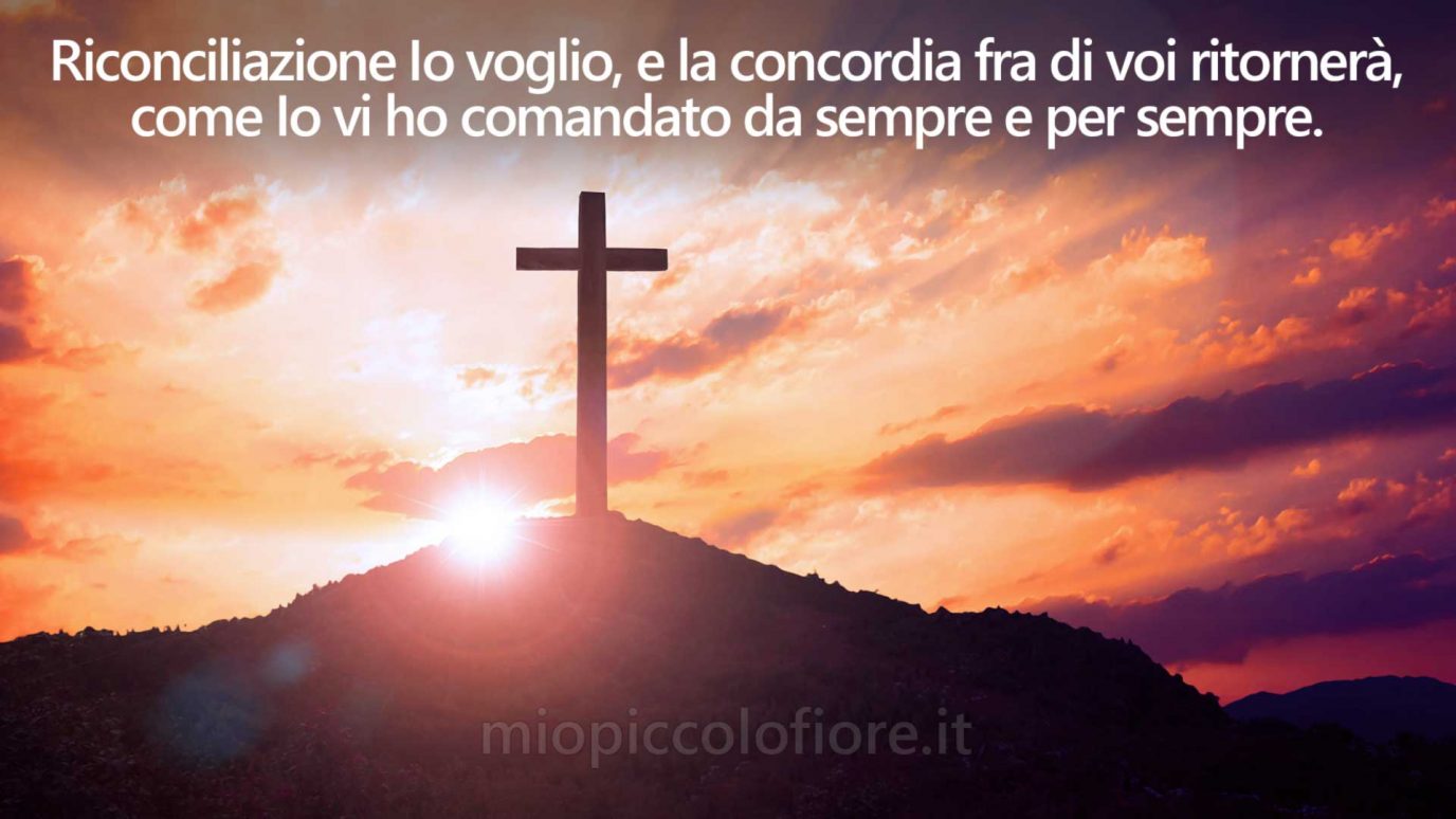 Messaggi del Cielo di MIO PICCOLO FIORE 2023-02-25 Riconciliazione
