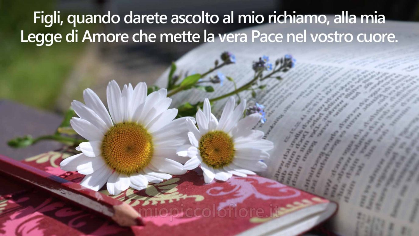 Messaggi del Cielo di MIO PICCOLO FIORE 2023-03-01 Vi prenderò per mano