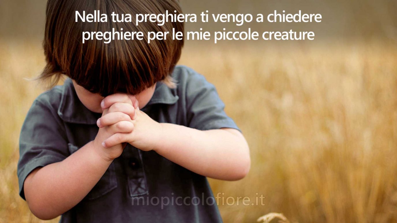 Messaggi del Cielo di MIO PICCOLO FIORE 2023-04-17 Piccoli Fiori