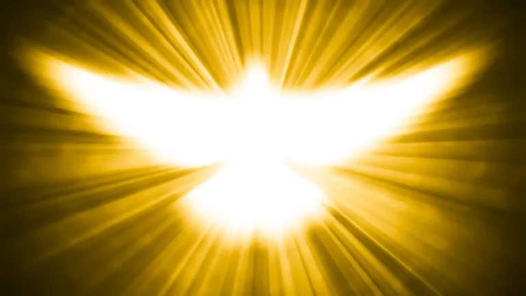 Messaggi del Cielo di MIO PICCOLO FIORE Eventi straordinari