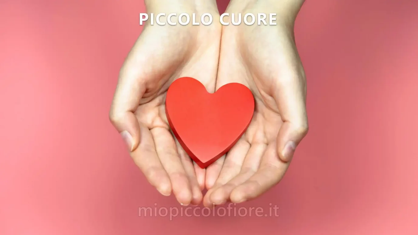 Piccolo Cuore