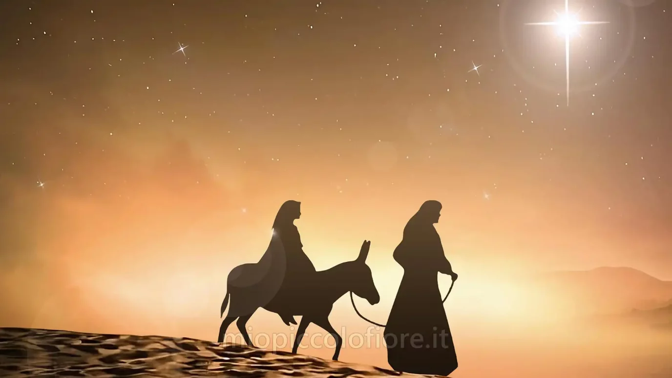 Messaggi del Cielo di MIO PICCOLO FIORE 2025-12-12 L'Unto del Padre